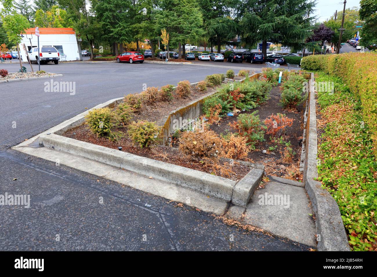 Ein Regenwasserrückhaltebecken auf einem Supermarkt-Parkplatz auf 3030 NE Weidler St, Portland, Oregon. Das Bioretensgebiet ist so konzipiert, dass es ... Stockfoto