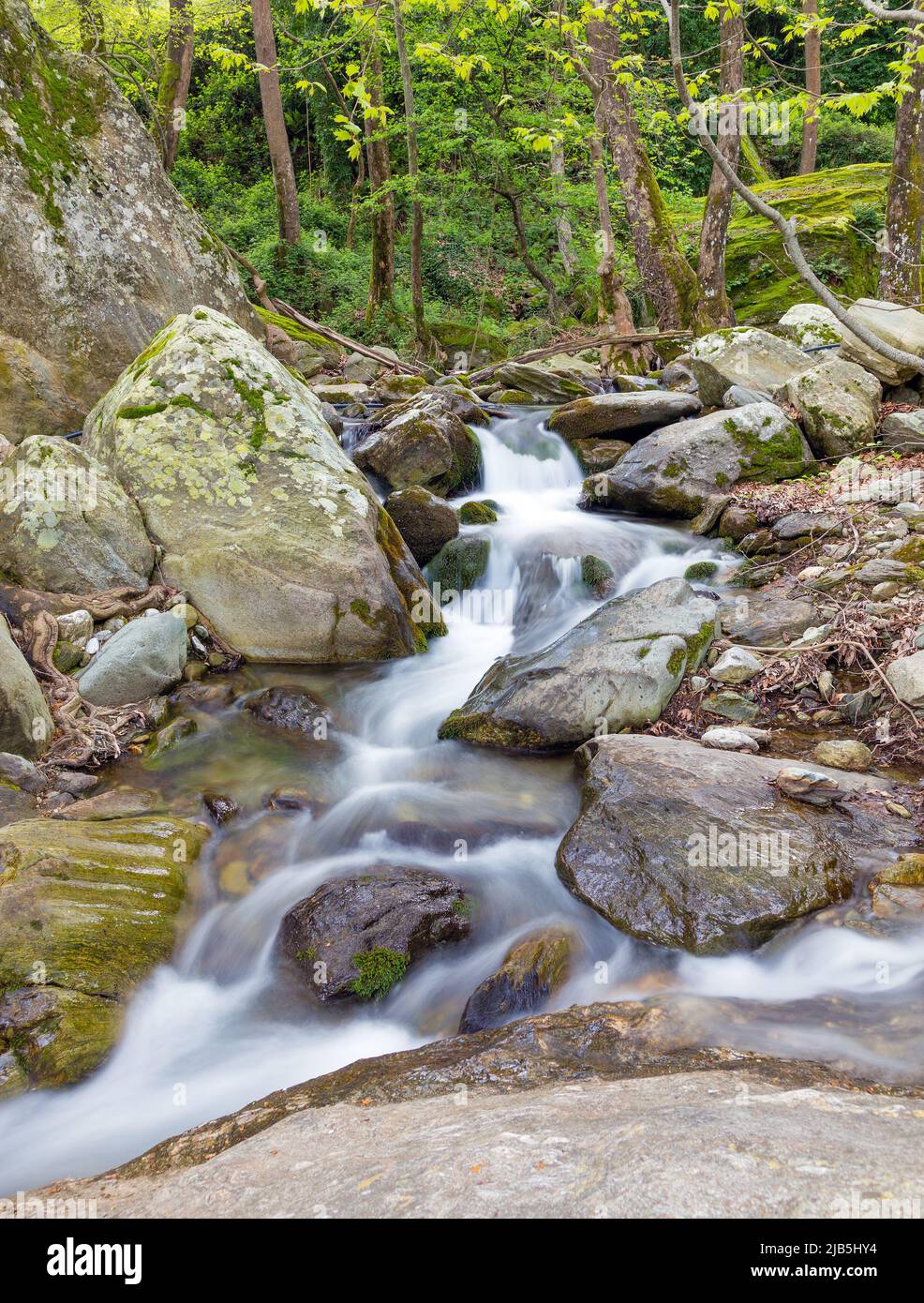 Schöner Bach auf dem Pelion Berg in der Nähe von Zagora Dorf, Griechenland Stockfoto