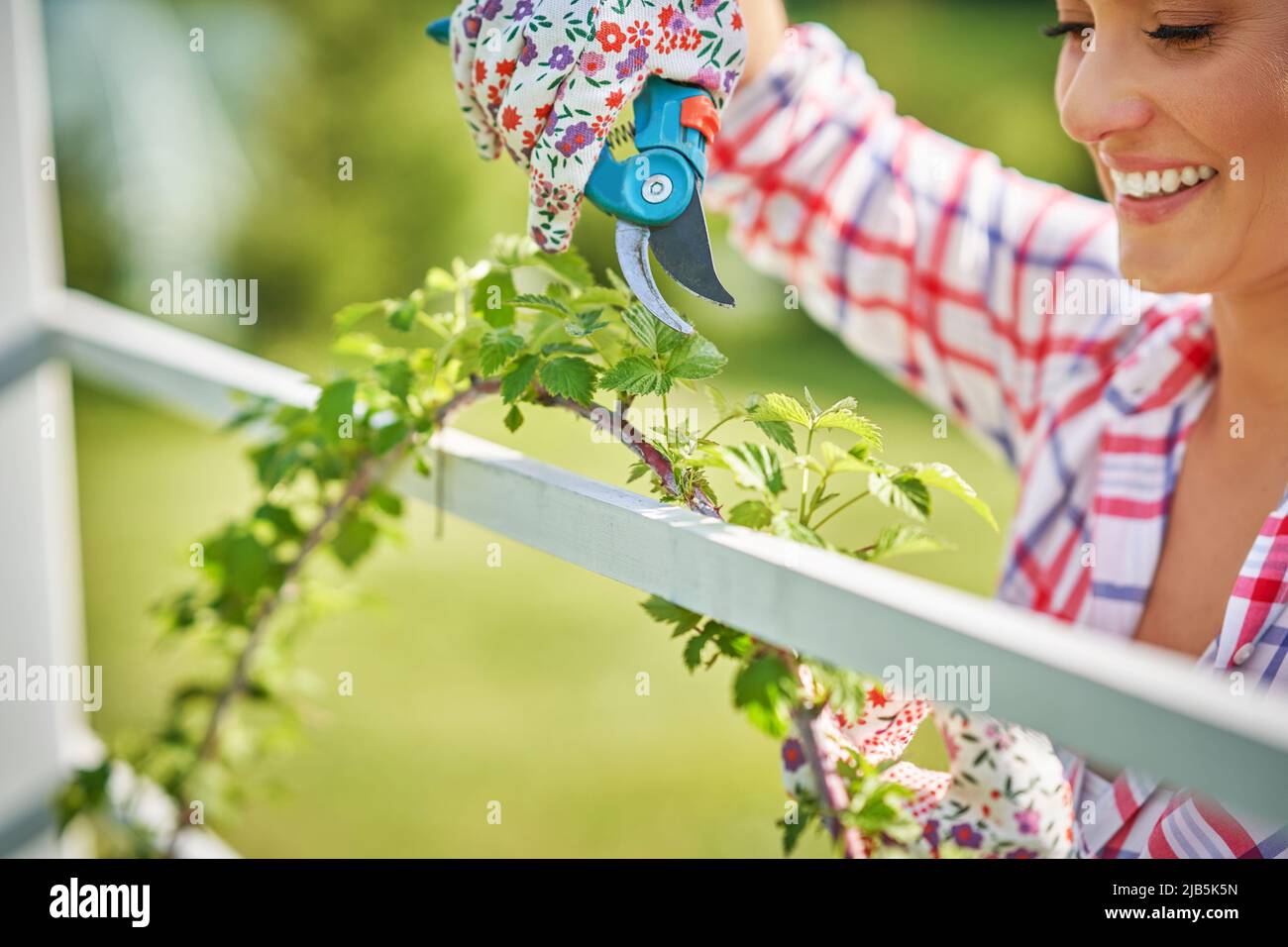 Frau kümmert sich um die Pflanzen im Garten Stockfoto