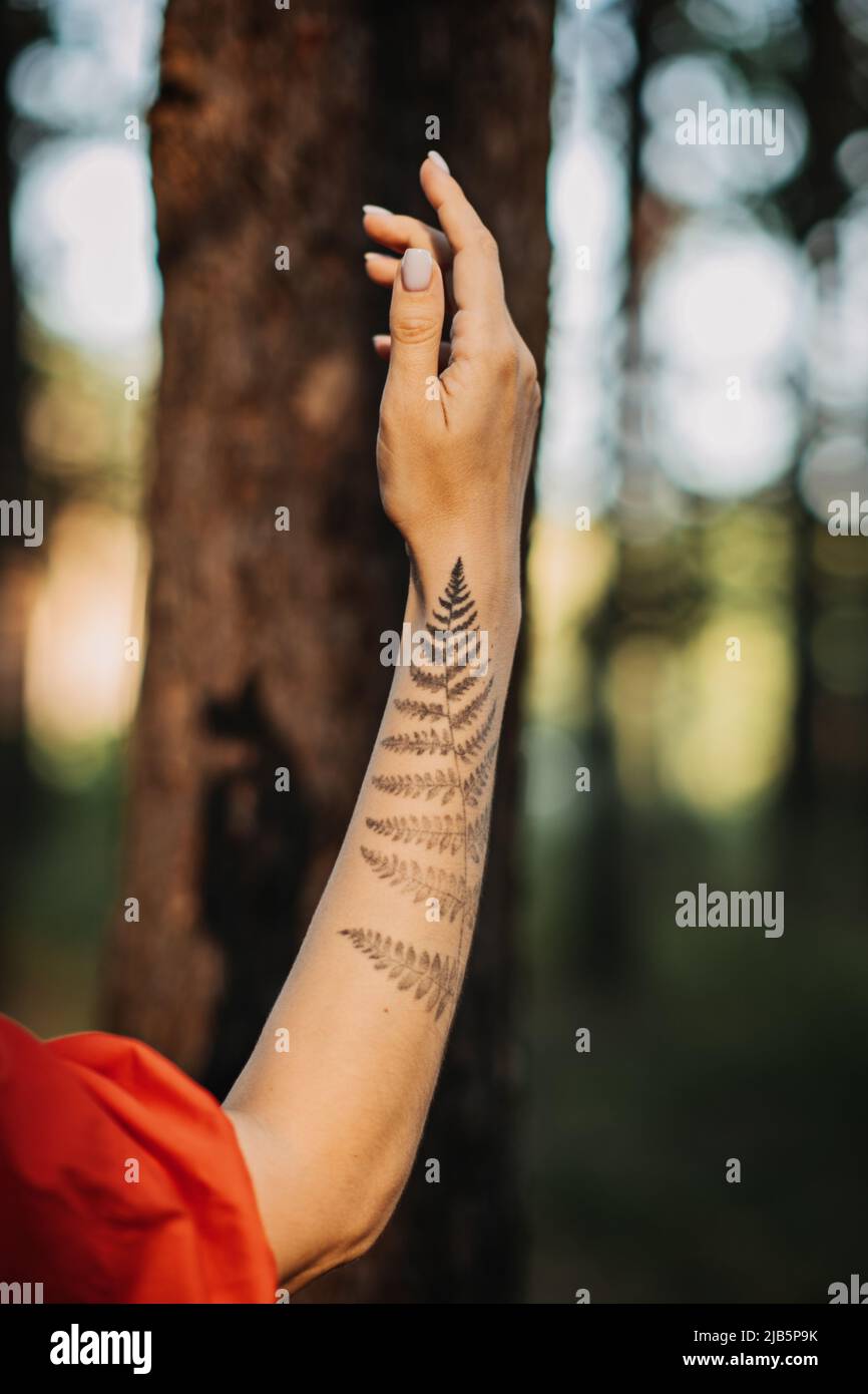 Frau mit Farn-Tattoo umarmt Bume und geniet die Natur im Pinienwald  Stockfotografie - Alamy