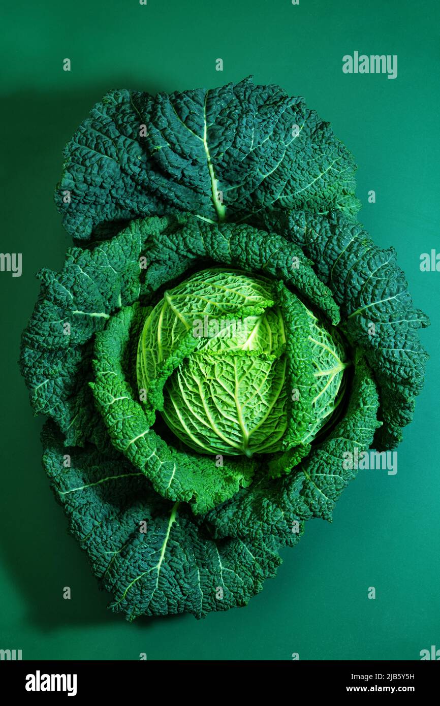 Savoy-Kohl-Bild über grünem Hintergrund von oben Stockfoto