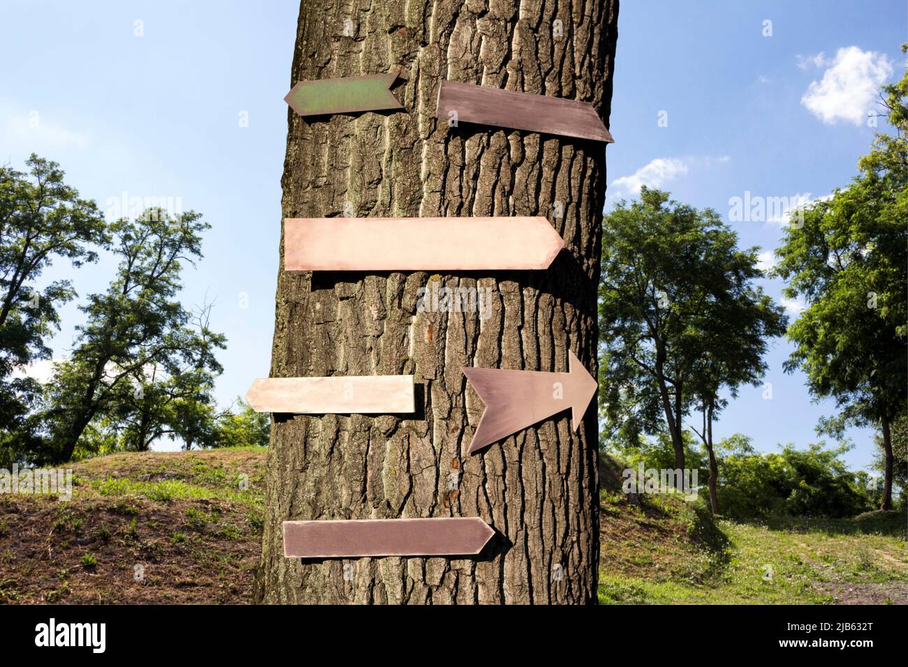 Hölzerne Schilder, die an einem Baumstamm hängen. Leerzeichen, fügen Sie Text oder Logo hinzu. Stockfoto