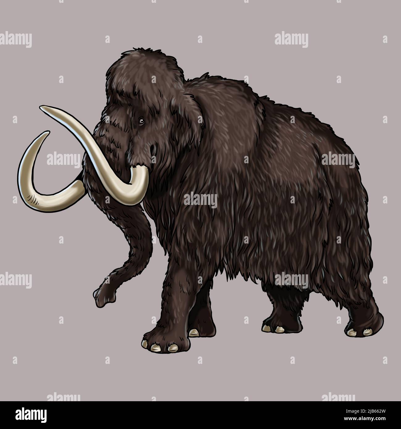 Prähistorische Tiere. Illustration mit ausgestorbenen Elefanten - Mammut. Stockfoto