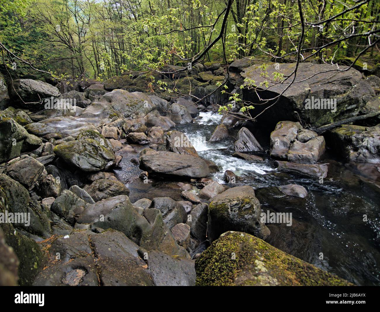 Wasserfälle auf dem Afon Llugwy in der Nähe der Miners Bridge in Betws y Coed, Caernarthanshire, Snowdonia, Nordwales. Stockfoto
