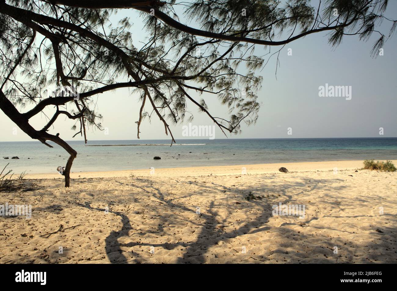 Puru Kambera, ein Sandstrand in Mondu, Kanatang, East Sumba, East Nusa Tenggara, Indonesien. Dieser Strand könnte zu den halben Sandstränden der Welt gehören, die bis zum Ende des Jahrhunderts verschwinden könnten, wenn der Klimawandel unvermindert weitergeht, wie Klimawissenschaftler in ihrer Publikation über Nature Climate Change vom März 2020 berichteten. Stockfoto