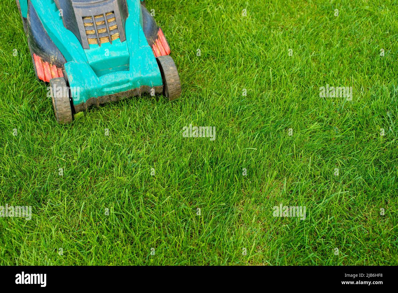 Rasenmäher auf Gras Nahaufnahme. Rasenpflege-Konzept Stockfoto