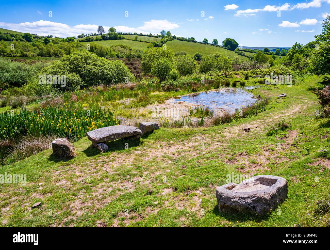 Wildtierteich auf der historischen Challacombe Farm, Dartmoor, Devon, Großbritannien. Der Hof gleicht die Bedürfnisse der Erhaltung, Archäologie, Landschaft und Zugang. Stockfoto