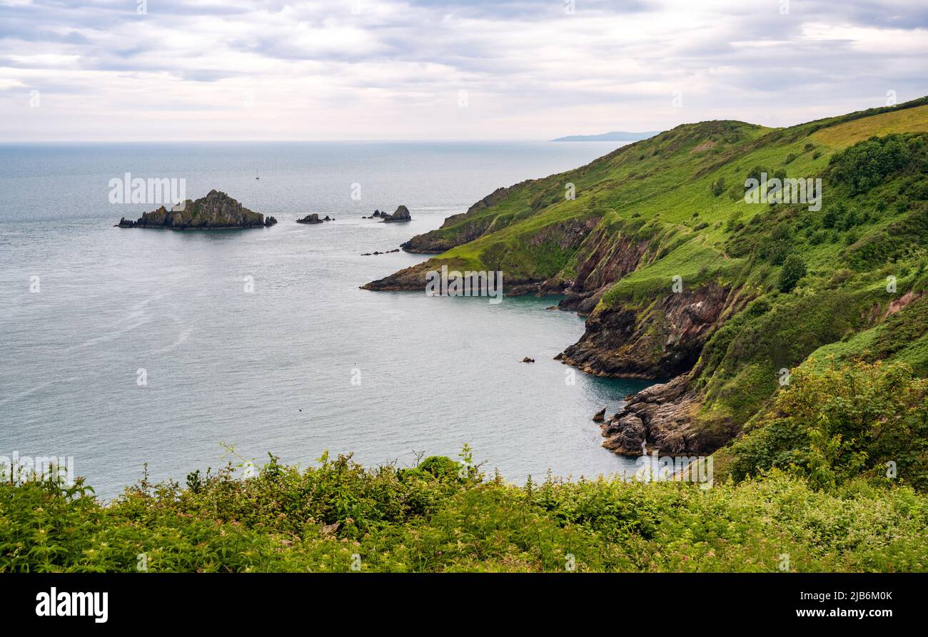 Blick auf die Küste südwestlich vom Gelände von Coleton Fishacre, Devon, Großbritannien. Der MEW Stone ist über die Bucht zu sehen. Stockfoto