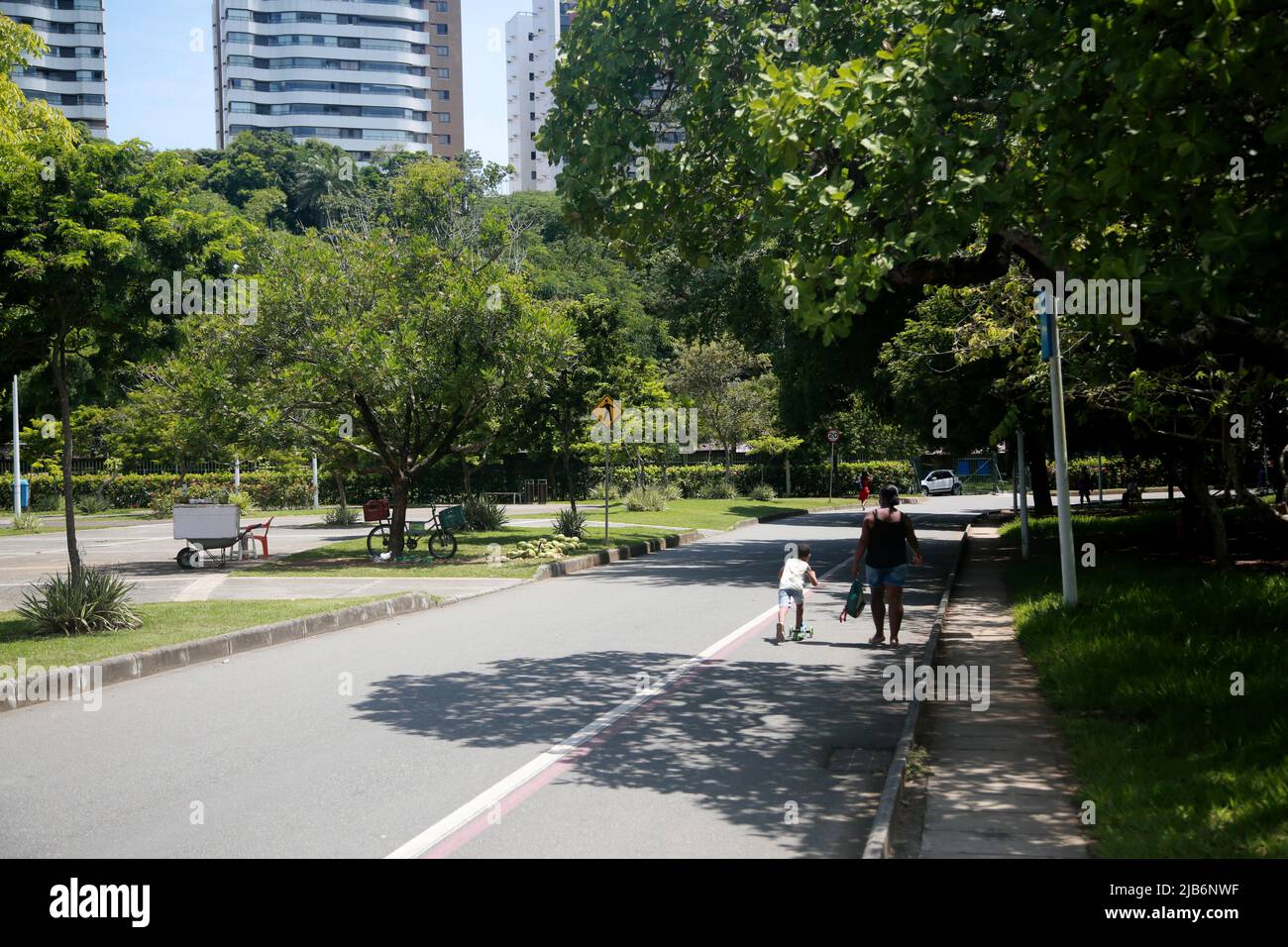 salvador, bahia, brasilien - 28. januar 2022: Blick auf den Parque da Cidade in Salvador Stockfoto