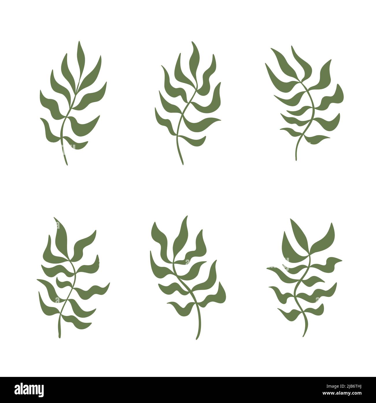 Set von abstrakten gewellten Pflanzen oder Gras Brunches gebogene Blätter Sammlung für Wanddekoration, Poster-Design. Dekorative, gewellte organische Formen. Botanisches Element Stock Vektor