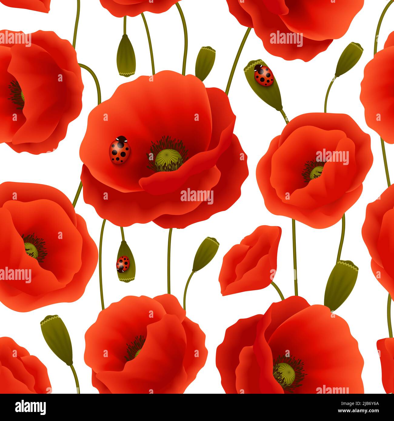 Lebendige nahtlose Blumenmuster Mohn Blumen und Blüten mit Dame-Vögel-Vektor-illustration Stock Vektor