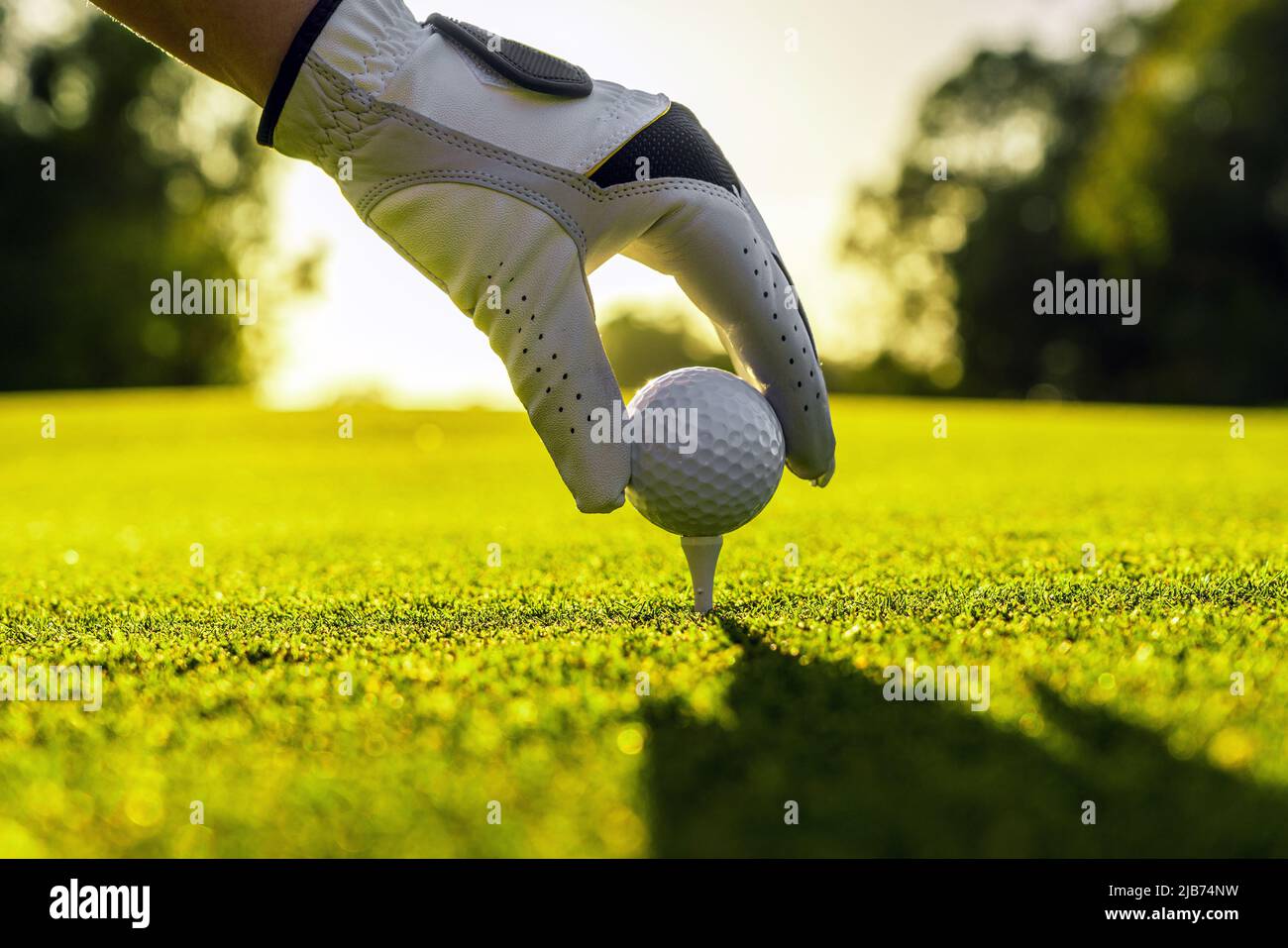 Hand des Golfspielers mit Handschuh, der den Golfball auf einem Abschlag auf dem Golfplatz mit Sonnenlicht auf dem Hintergrund platziert Stockfoto