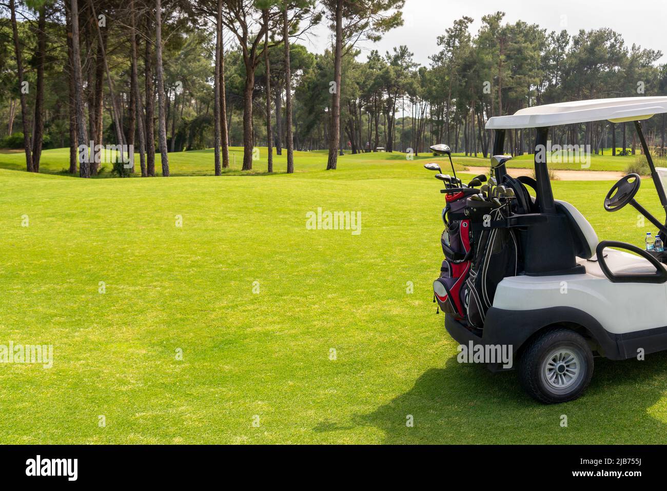 Satz von Golfschlägern in Golftaschen auf der Rückseite eines Golfwagens auf einem wunderschönen Golfplatz Stockfoto