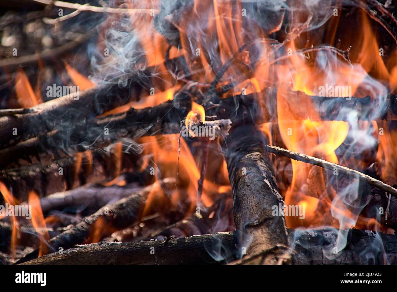 Ein kleines Holzfeuer auf dem Feld.außer Fokus Hintergrund, Gras, kleines Feuerholz. Stockfoto