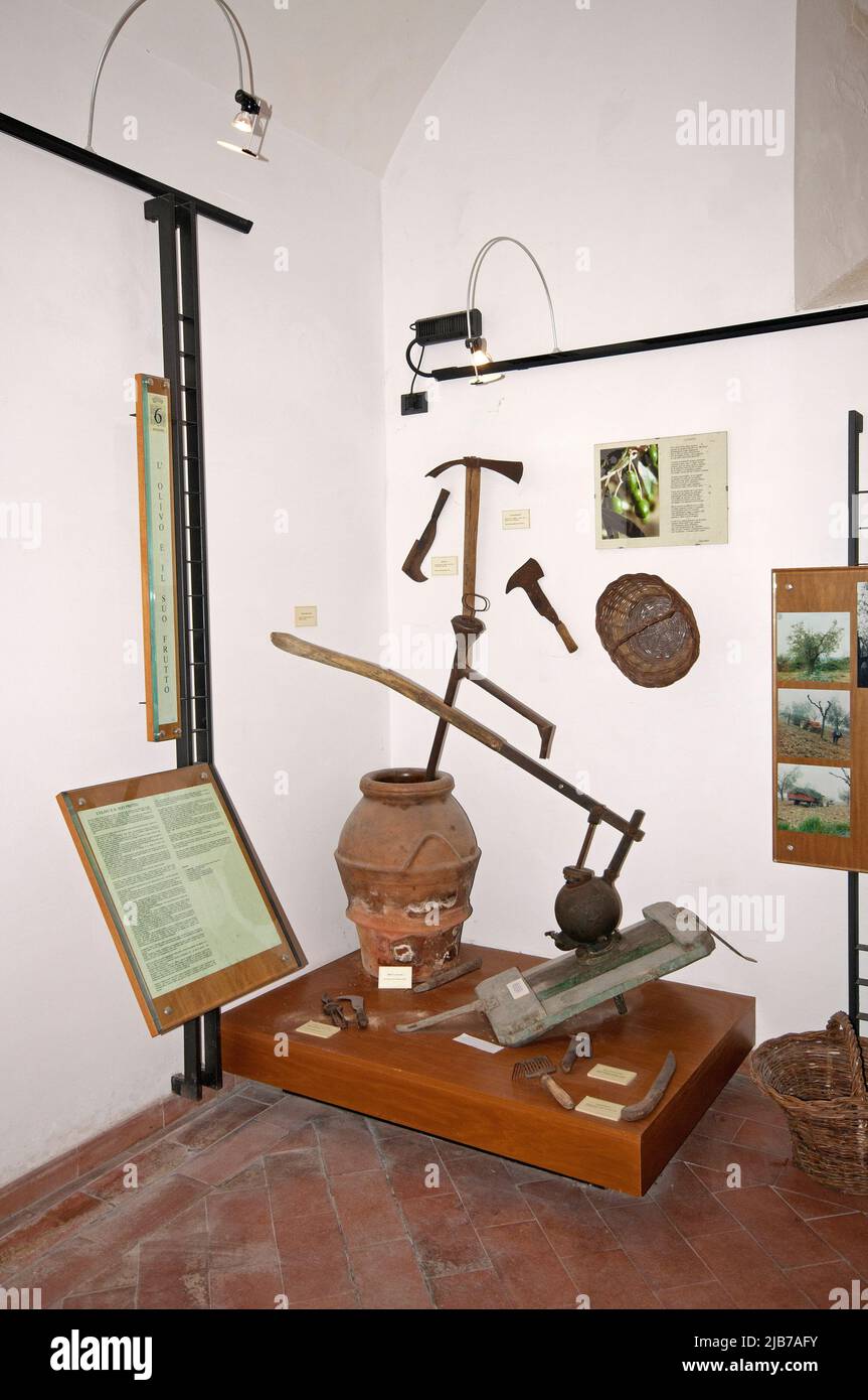 Alte Gegenstände und Werkzeuge im Museum der Bauernkultur (Museo della Civiltà Contadina), Schloss Alviano, Umbrien, Italien Stockfoto