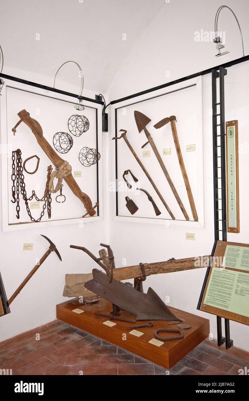 Alte Pflug und andere Werkzeuge im Museum der Bauernkultur (Museo della Civiltà Contadina), Burg Alviano, Umbrien, Italien Stockfoto