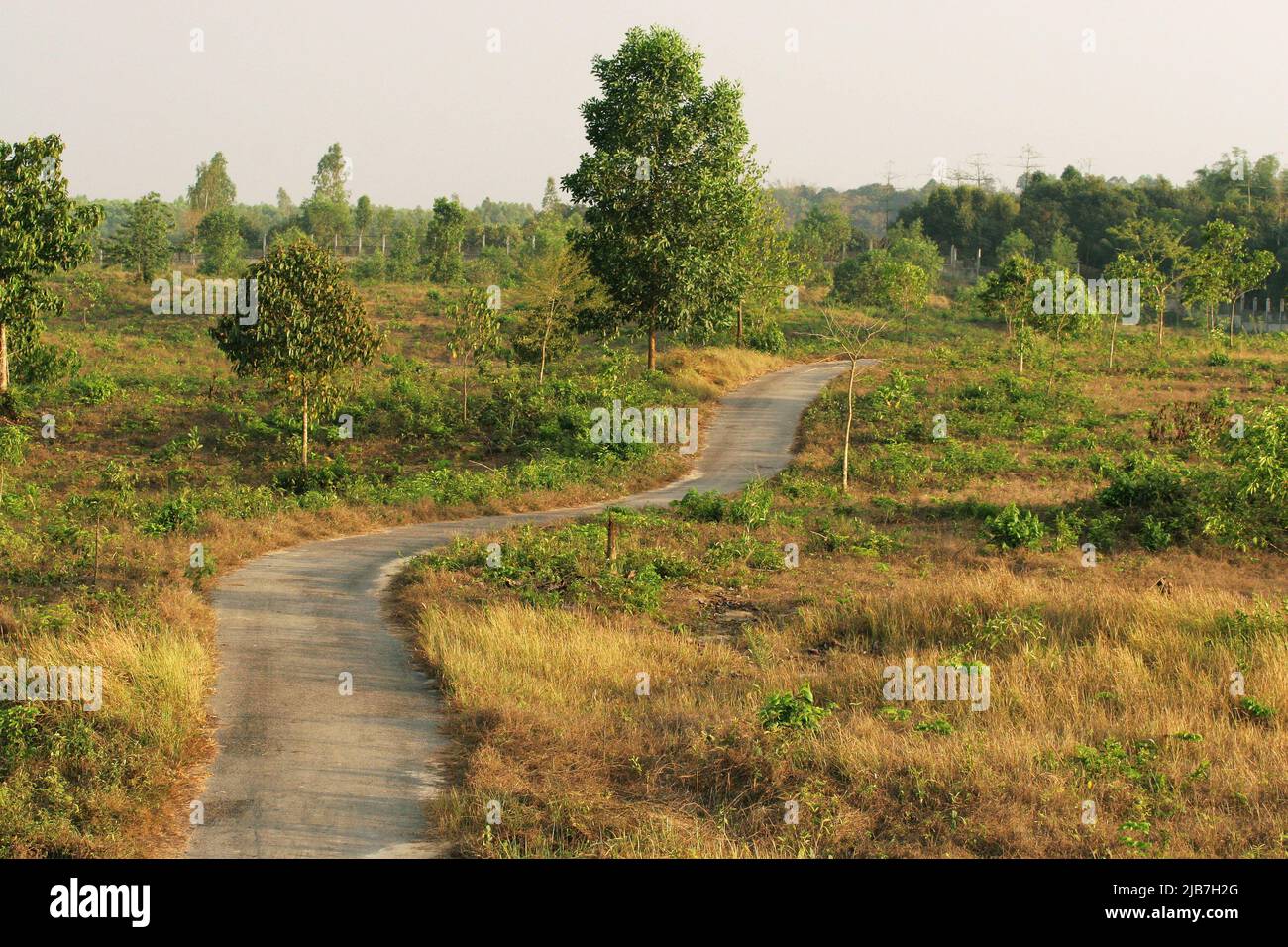 Ein Blick auf den Dulahazra Safari Park in Chokoria, etwa 107 Kilometer von Chittagong entfernt, am 30. März 2007. Der Park ist ein Ort der Forschung, Erholung und alternativen Bildung sowie des Wildtierschutzes. Stockfoto