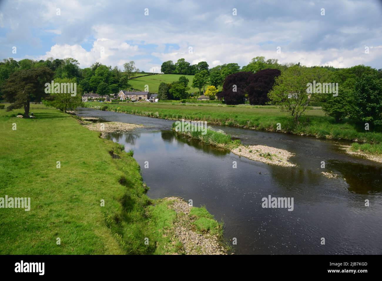 Frühsommer-Szenen am River Ribble in Sawley Lancashire. Stockfoto