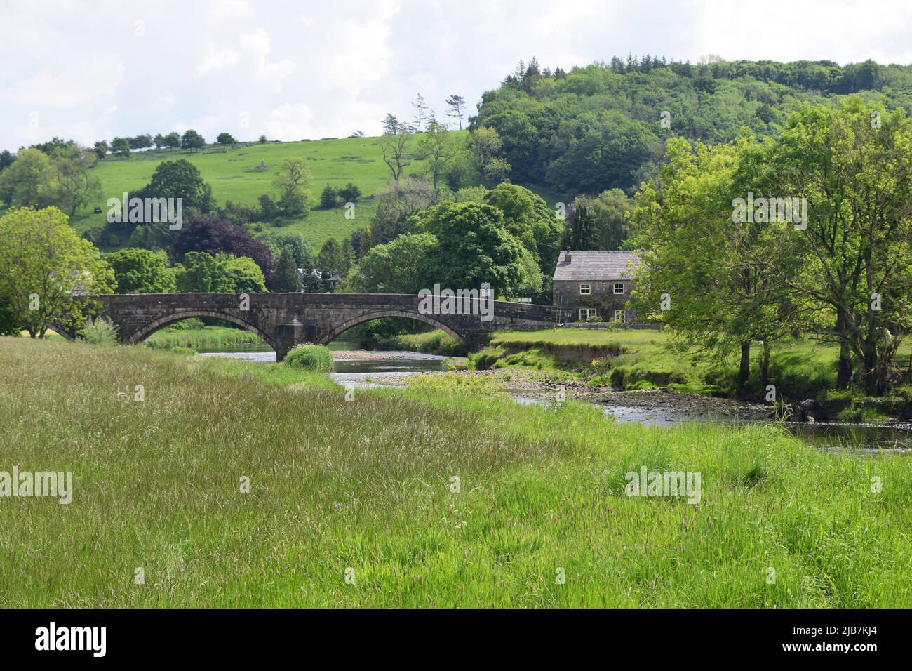 Frühsommer-Szenen am River Ribble in Sawley Lancashire. Stockfoto