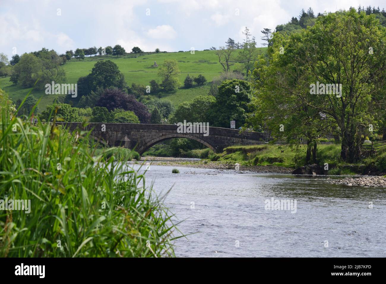 Frühsommer-Szenen am River Ribble in Sawley Lancashire. Stockfoto