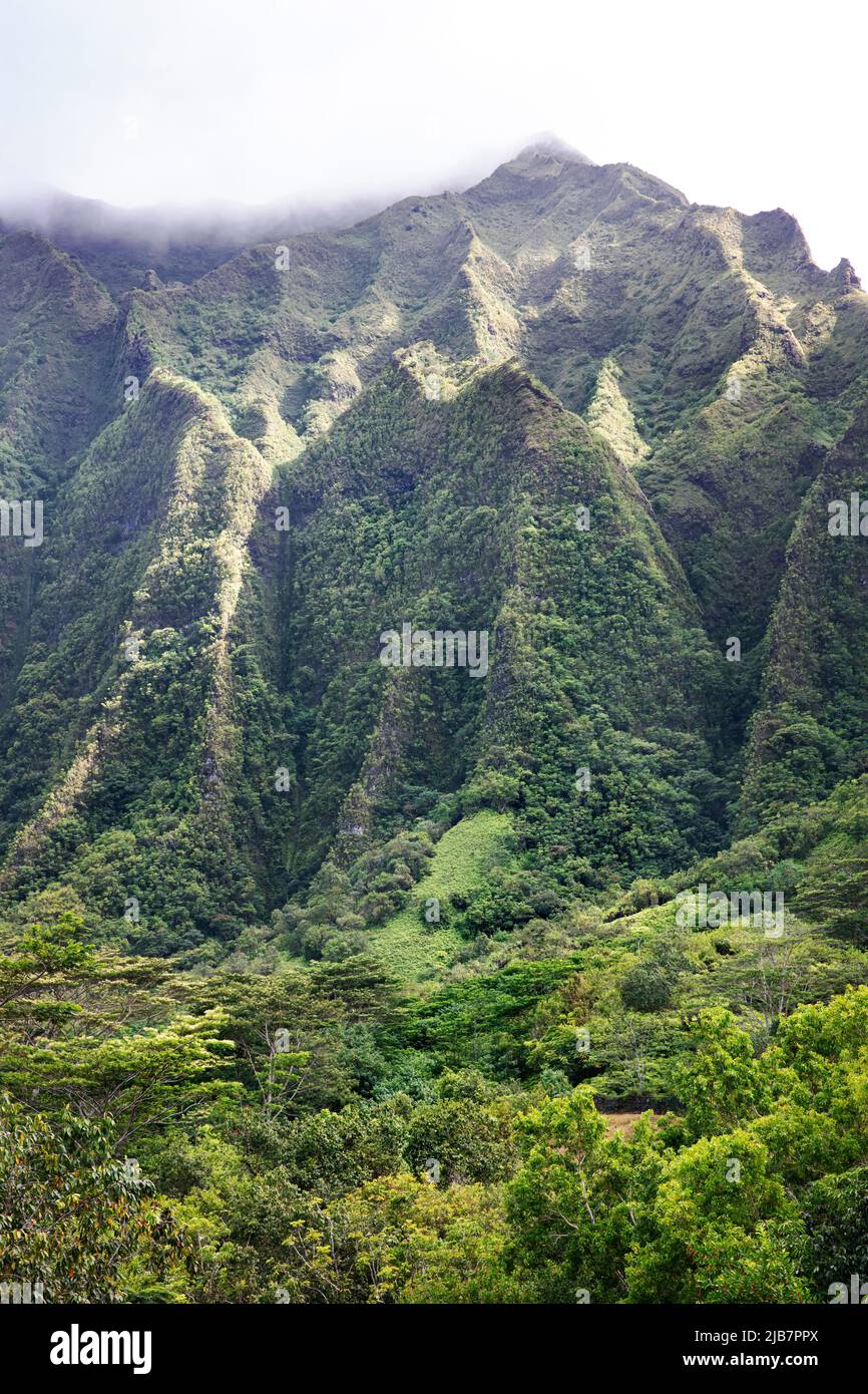Steile vulkanische Berge von Oahu, Hawaii Stockfoto