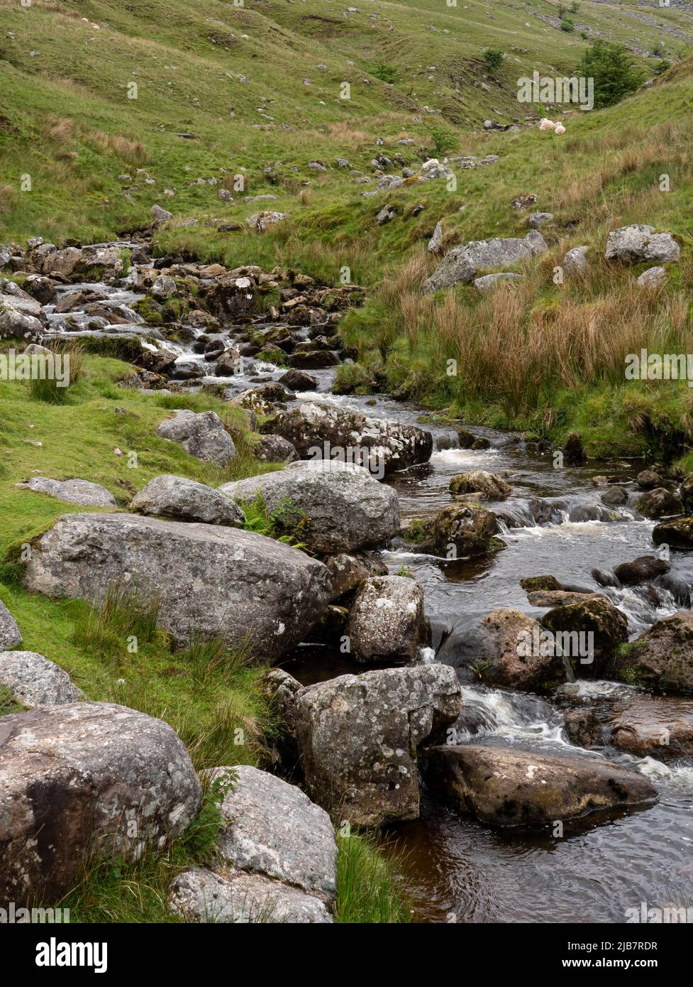 Abfluss-Wasser fließt über Felsen und Felsbrocken in einem Bergpass in den Brecon Beacons, South Wales. Stockfoto