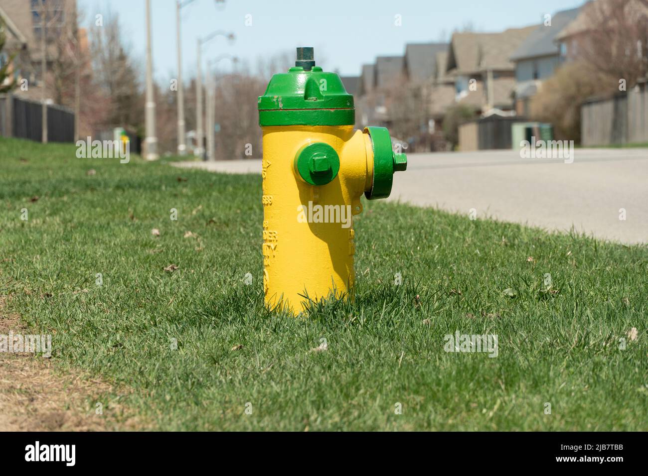 Ein kleiner gelb-grüner Hydrant ragt auf dem Gras am Straßenrand hervor. Stockfoto