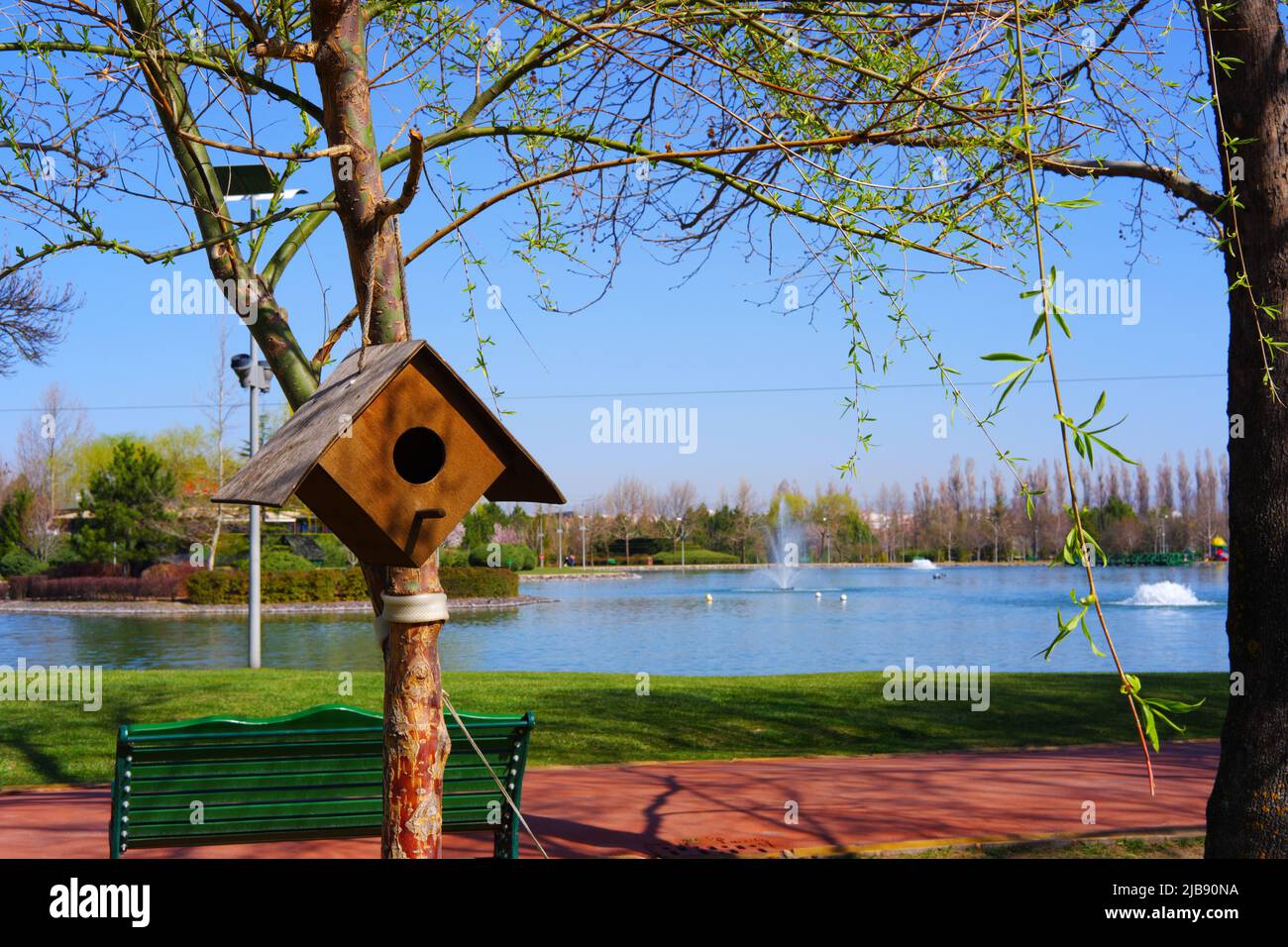 Vogelhaus an einem Baum am See in Bäumen im Sommer gehängt Stockfoto