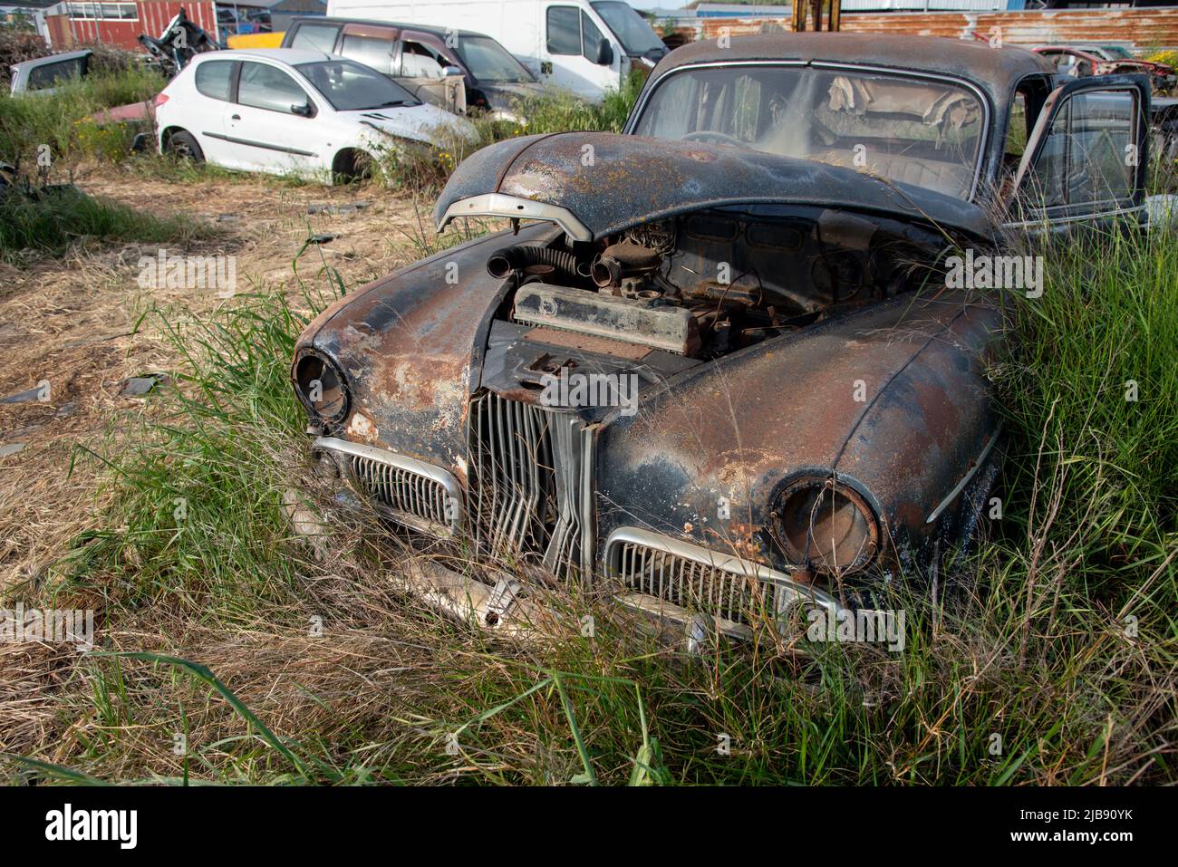 Autoschrottplatz mit Wrack eines zerstörten Autos. Umweltverschmutzung Metallrecycling. Stockfoto
