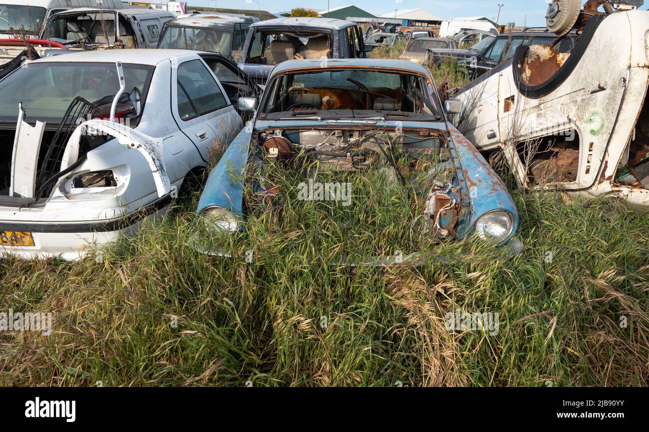 Autoschrottplatz mit Wrack eines zerstörten Autos. Umweltverschmutzung Metallrecycling. Stockfoto
