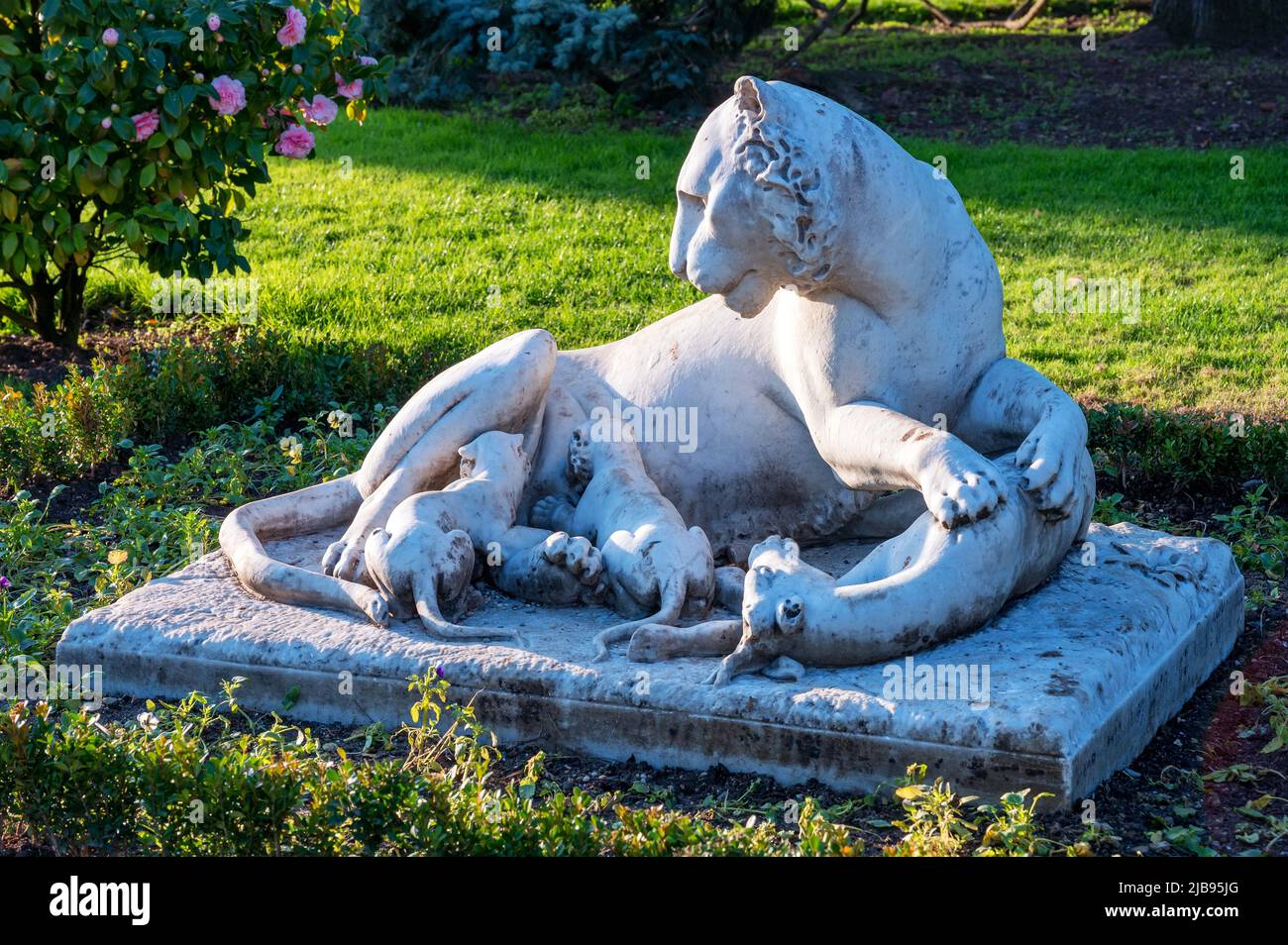 ISTANBUL, TÜRKEI - Januar 2022: Außenansicht. Löwenstatue mit Löwenjungen im Garten des Dolmabahce Palastes. Das Werk des französischen Bildhauers Pierre Louis Stockfoto