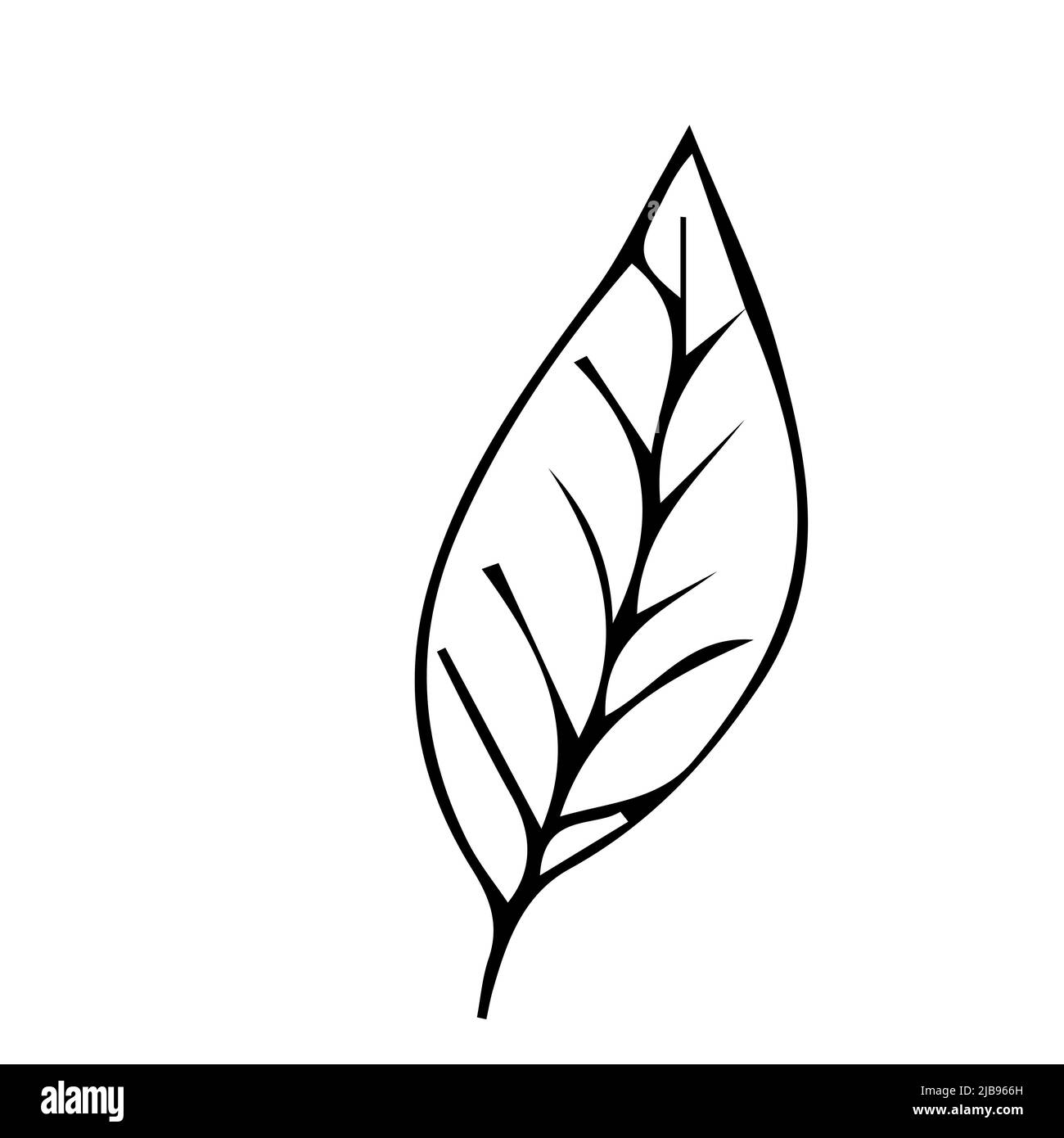 Blumenpflanze, Zweig im Doodle-Stil isoliert auf weißem Hintergrund. Elegante Design Dekoration, Element. . Vektorgrafik Stock Vektor