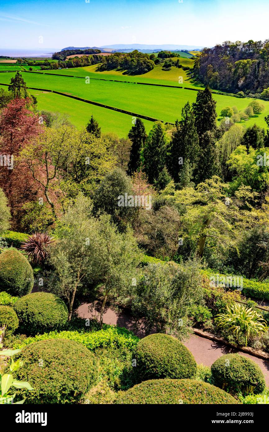 Ein Blick über einige der vielfältigen subtropischen Gärten an den Hängen des Hügels, auf dem Dunster Castle liegt, Somerset, England, Großbritannien Stockfoto