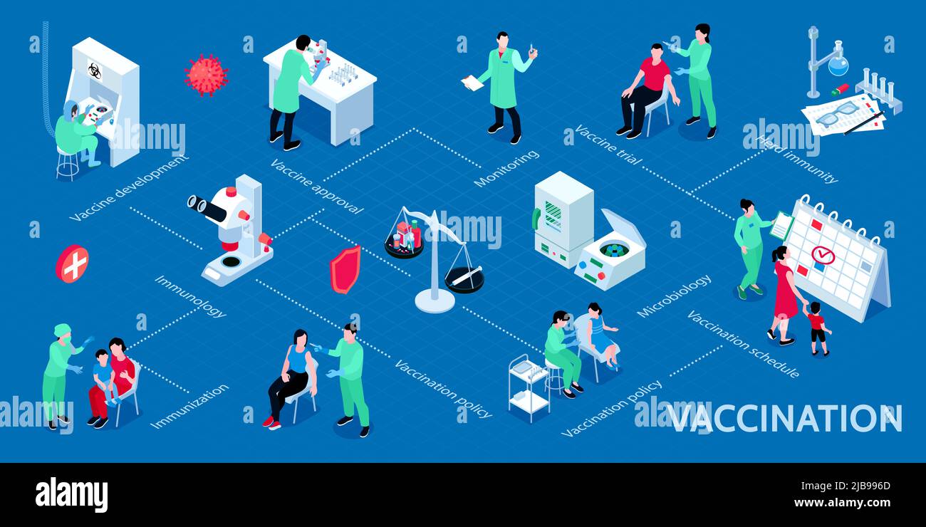 Isometrisches Infografik-Schema für Impfungen von der Zulassungsimpfung bis hin zu Impfstoffstudien und der Entwicklung von Vektorgrafiken für Herdenimmunität Stock Vektor