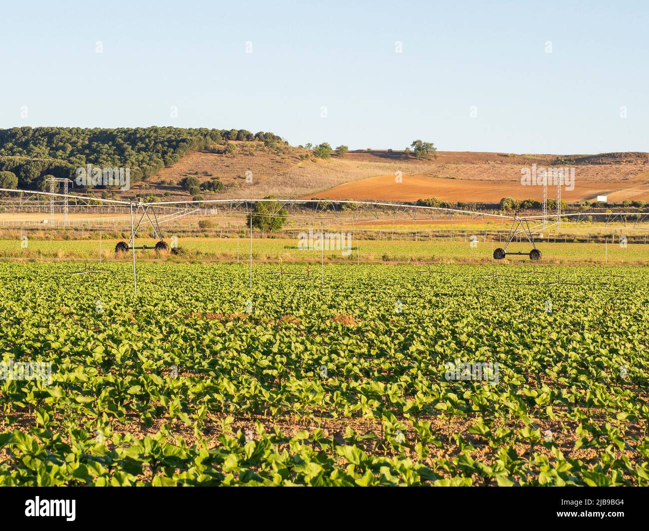 Center Pivot Bewässerungssystem im ökologischen Bereich.. Hochwertige Fotos Stockfoto