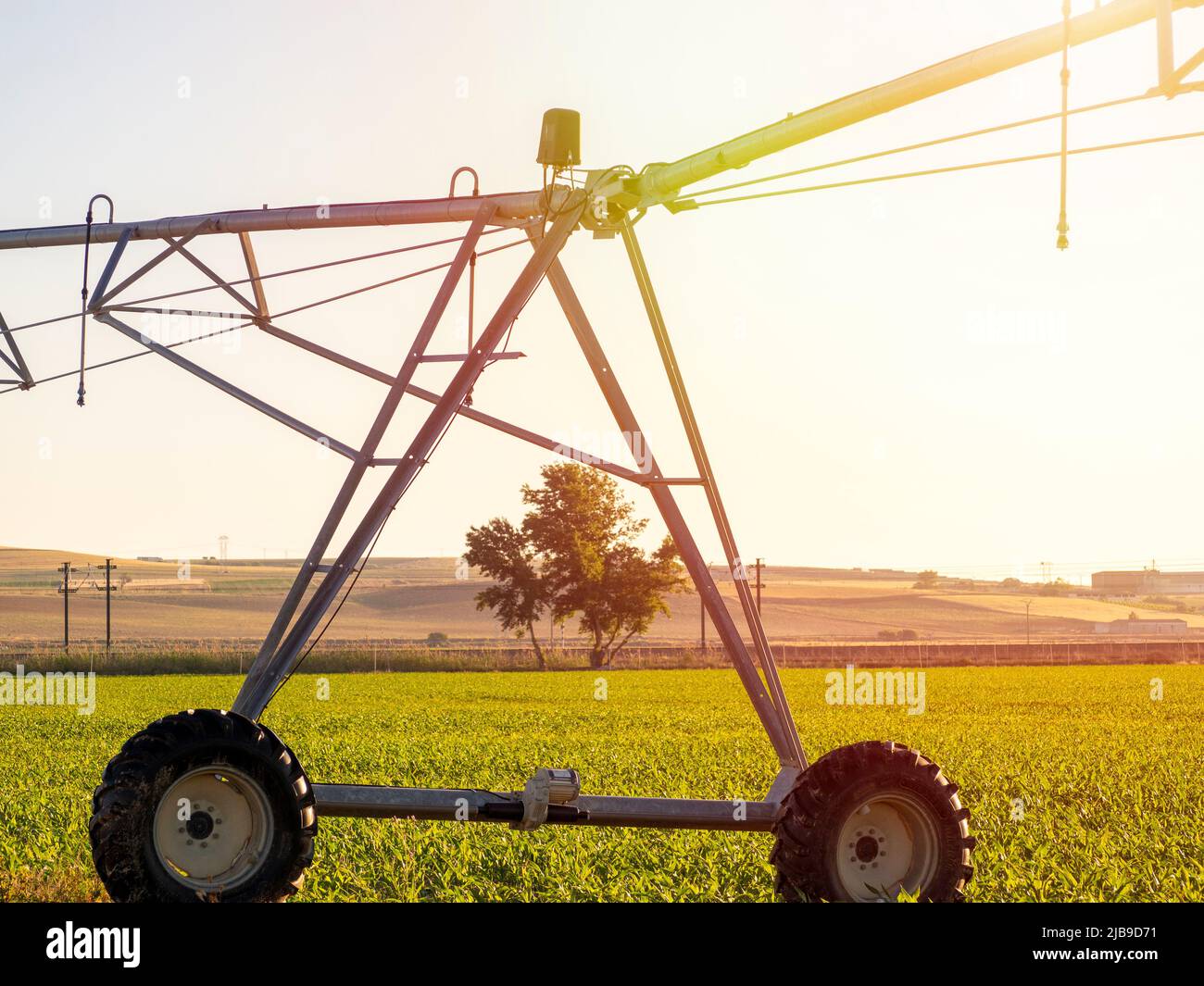 Ein Center-Pivot-Sprinkler, der eine nachhaltige Farm bewässert. Hochwertige Fotos Stockfoto