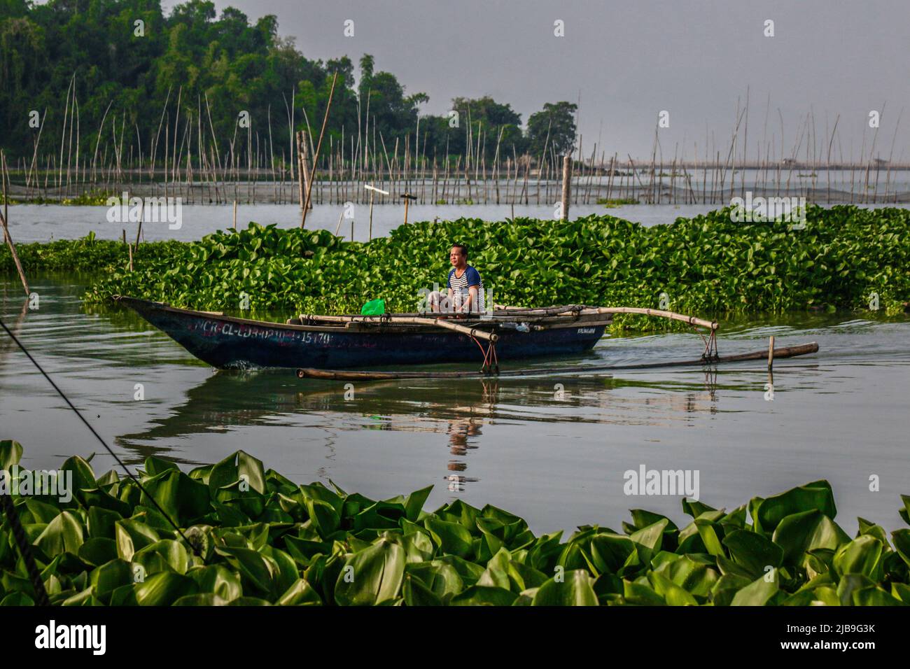 Binangonan, Philippinen. 04.. Juni 2022. Ein Fischer rudert sein kleines Boot zwischen schwimmenden Wasserhyazinthen. Laguna Lake ist der größte See auf den Philippinen und bedeckt eine Fläche von 900 Quadratkilometern oder entspricht 90.000 Hektar. Das Wasser fließt von der Provinz Laguna bis zur Provinz Rizal, dem südlichen Teil von Luzon. Der See bietet Ressourcen wie Transport, Erholung, Lebensunterhalt und vor allem Nahrung für die umliegenden Gemeinden. Laguna Lake wird als Süßwasser der Klasse C klassifiziert, das die Fähigkeit besitzt, Fische und andere aquatische Ressourcen anzubauen. Etwas Wassershe Stockfoto