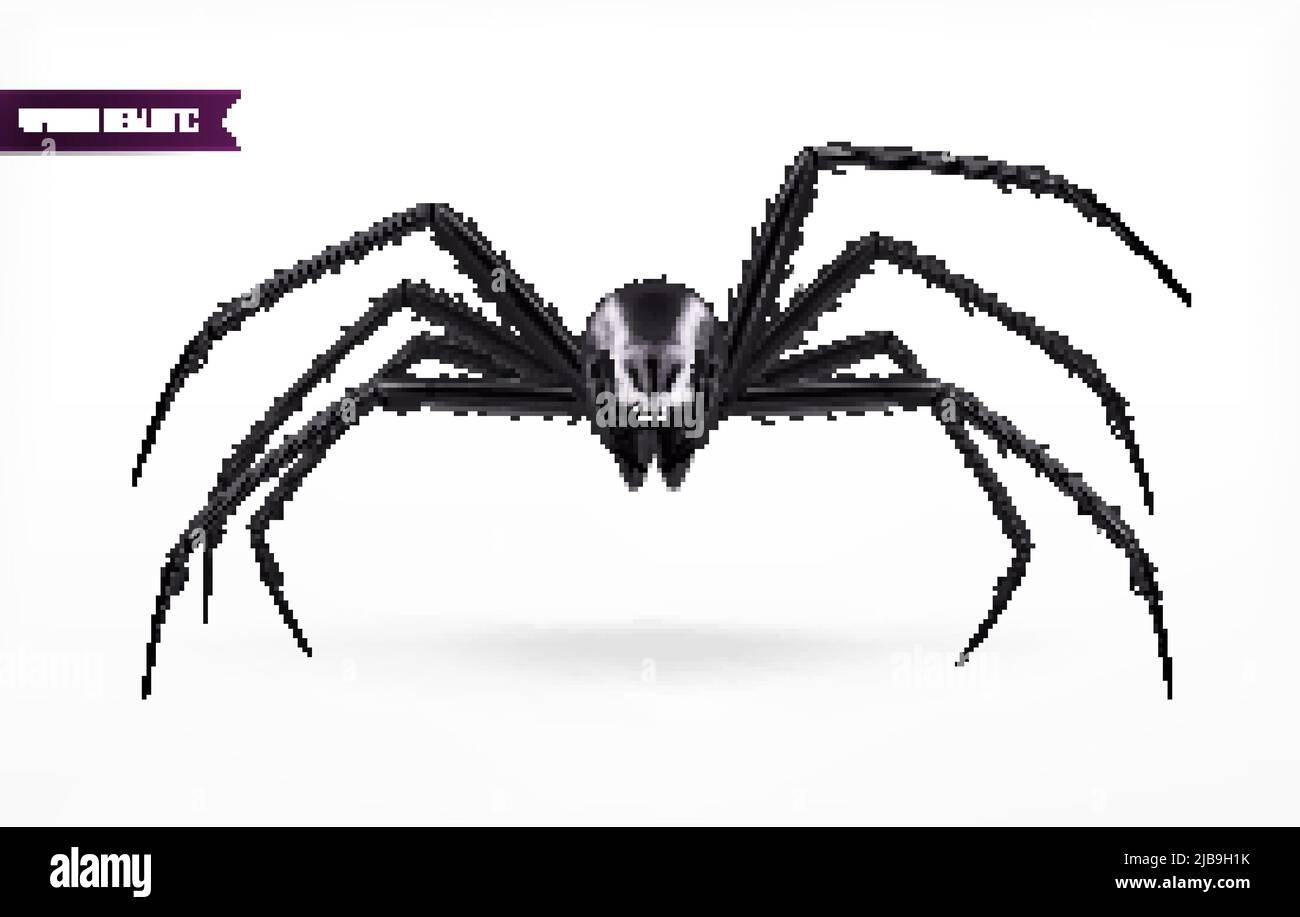 Schwarze Spinne abstrakte Komposition in realistischem Stil auf weißem Hintergrund mit Schattenvektor Illustration Stock Vektor