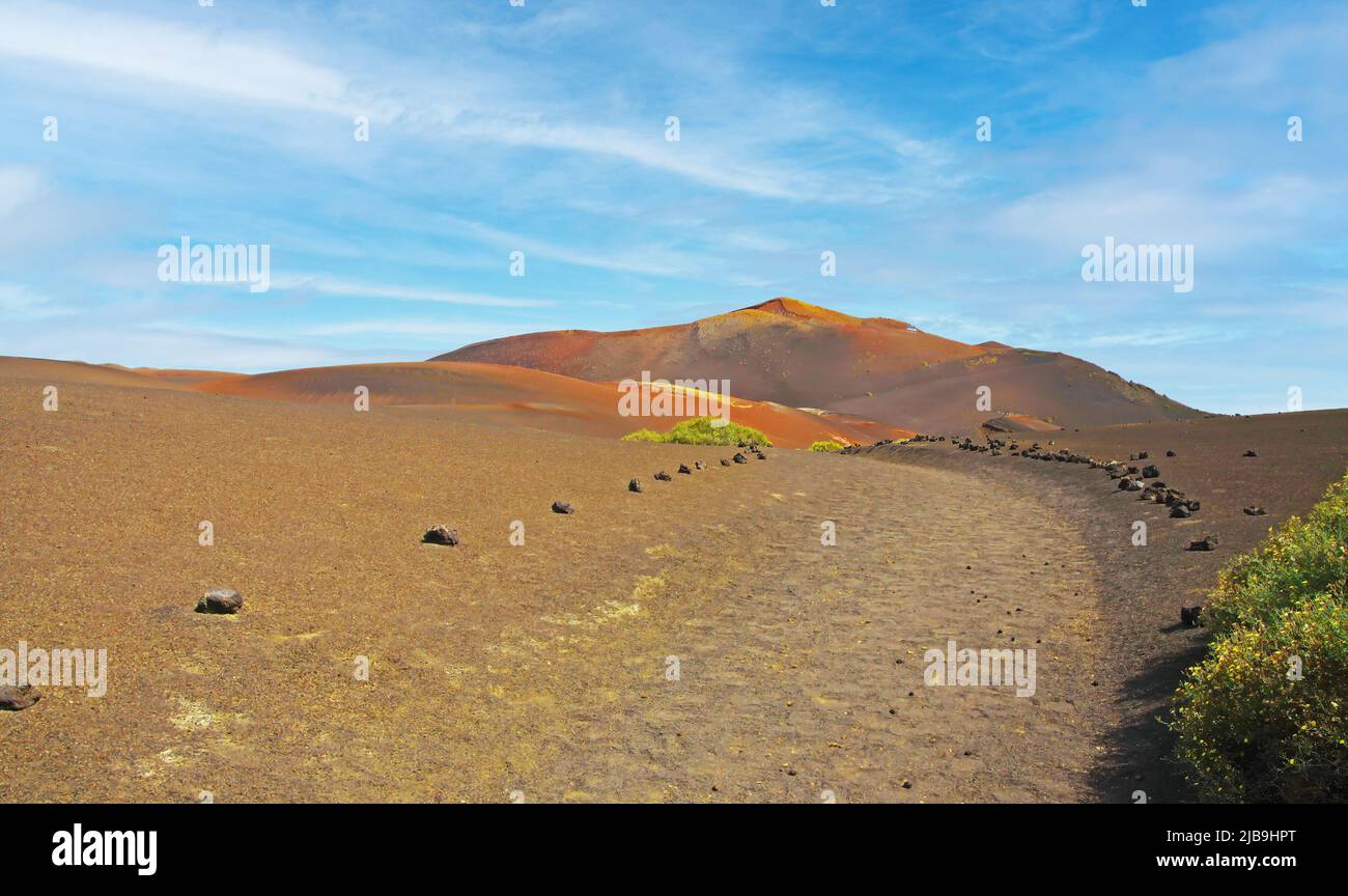 Wunderschöne Vulkanlandschaft, leerer Wanderweg, roter Vulkankegel, isolierter grüner verlorener Busch - Montana del Fuego, Timanfaya, Lanzarote Stockfoto