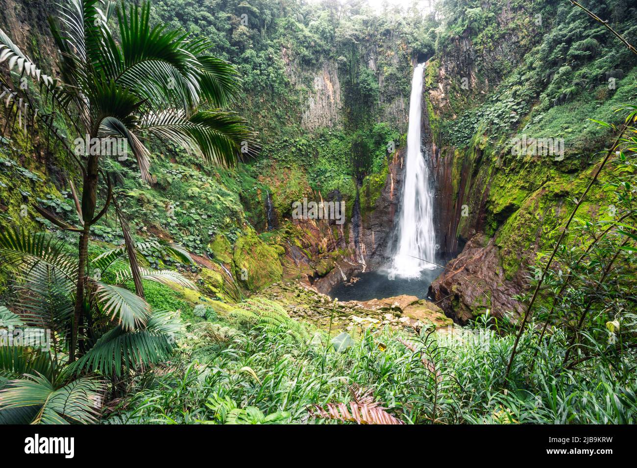 Catarata del Toro, wilder Wasserfall in Costa Rica Stockfoto