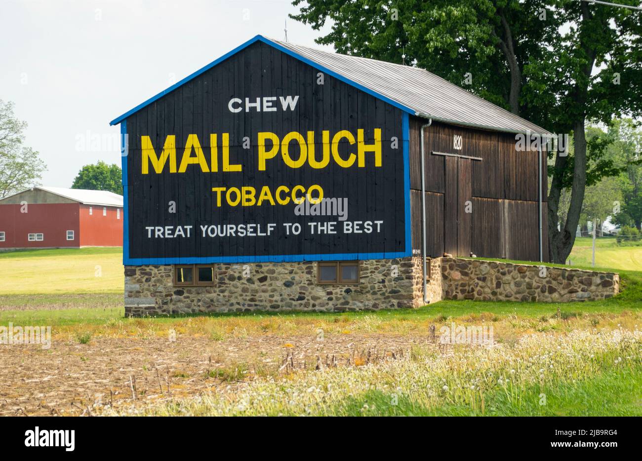 Chew Mail Pouch Tabakschild auf Scheune in LeRoy NY Stockfoto