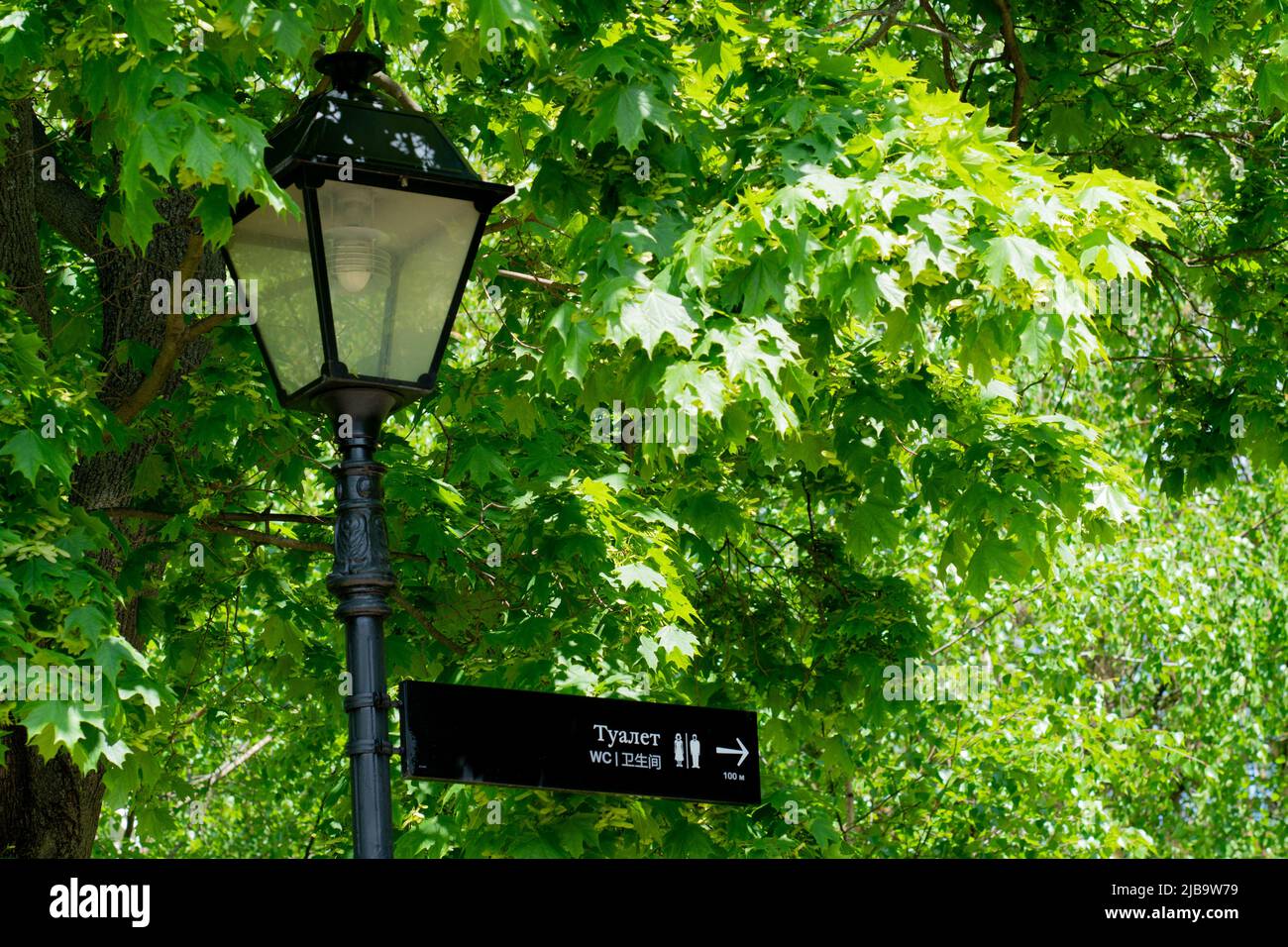 Public Signage Zeichen Toilette Straße Laterne Schild Lampe Stange Schrank, von Design wc für Wort und Stil Frau, Objektrichtung. Gentleman Hygiene Stockfoto