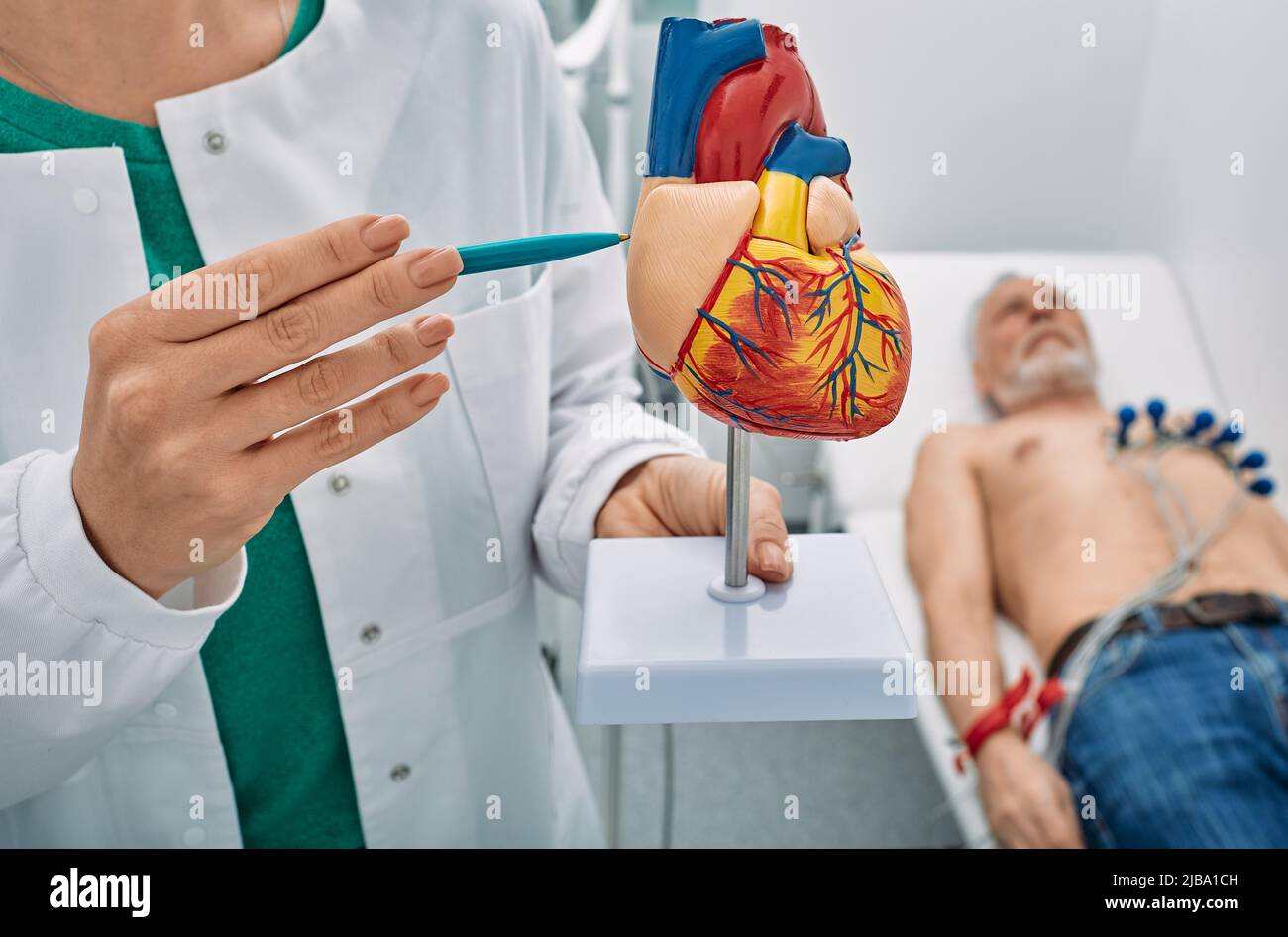 Kardiologen In Der Nähe Online Termin Herz des kardiologen Stockfotos und -bilder Kaufen - Alamy