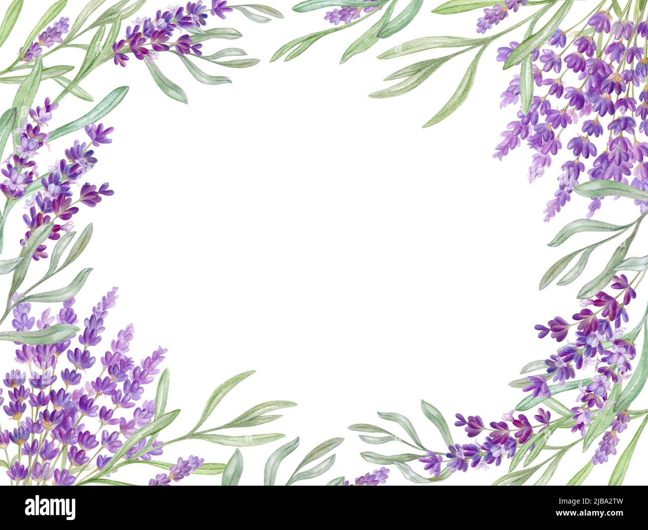 Lavendelblüten Rahmen, freier Platz für Text, Aquarell Illustration Stockfoto
