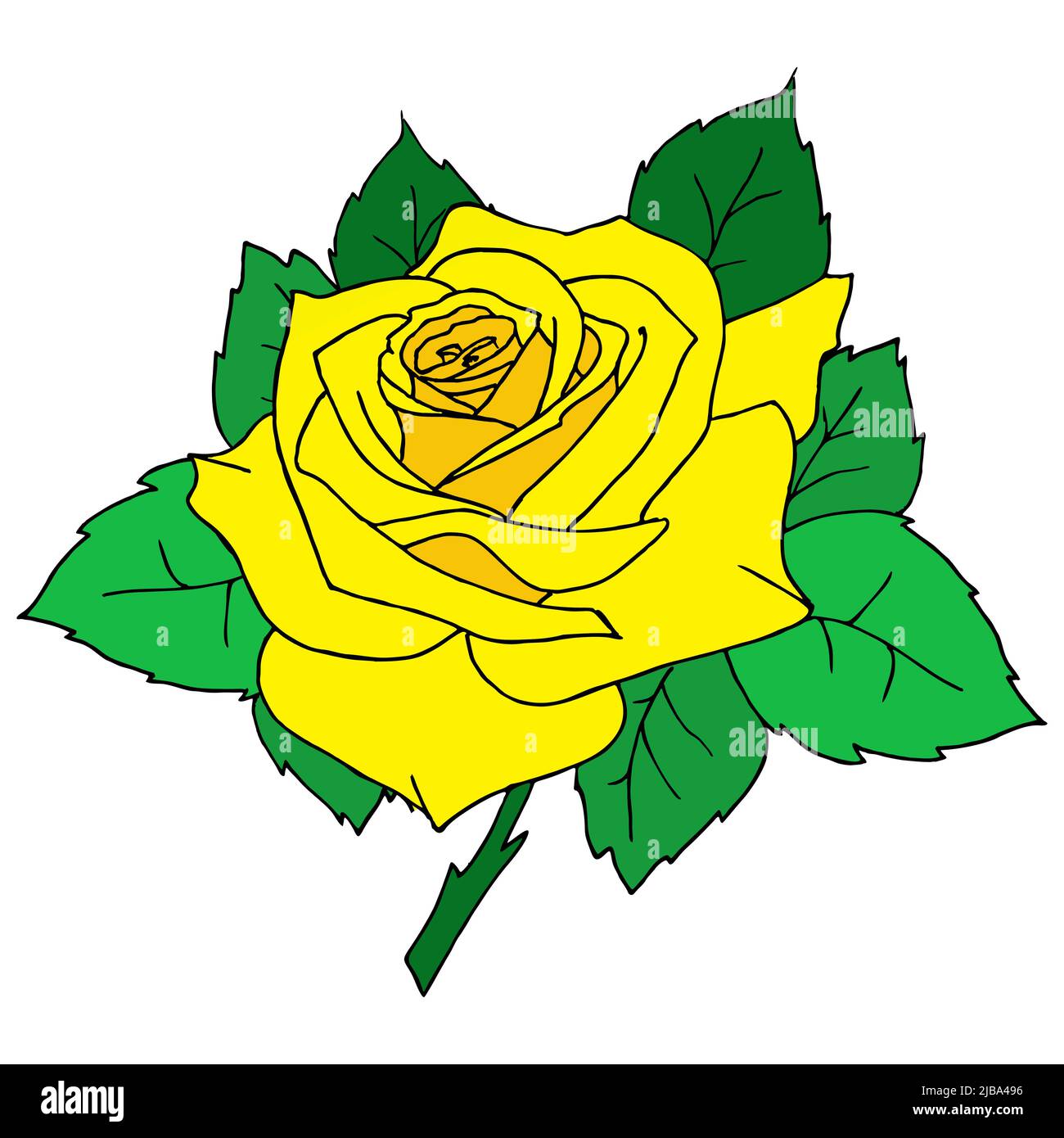 Farbige grafische Zeichnung einer gelben Rose Nahaufnahme auf weißem Hintergrund, Design, Kunst, valentinstag Stock Vektor