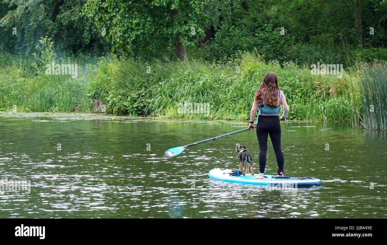 Mädchen auf Stand Up Paddle Board mit Hund auf dem Fluss. Stockfoto