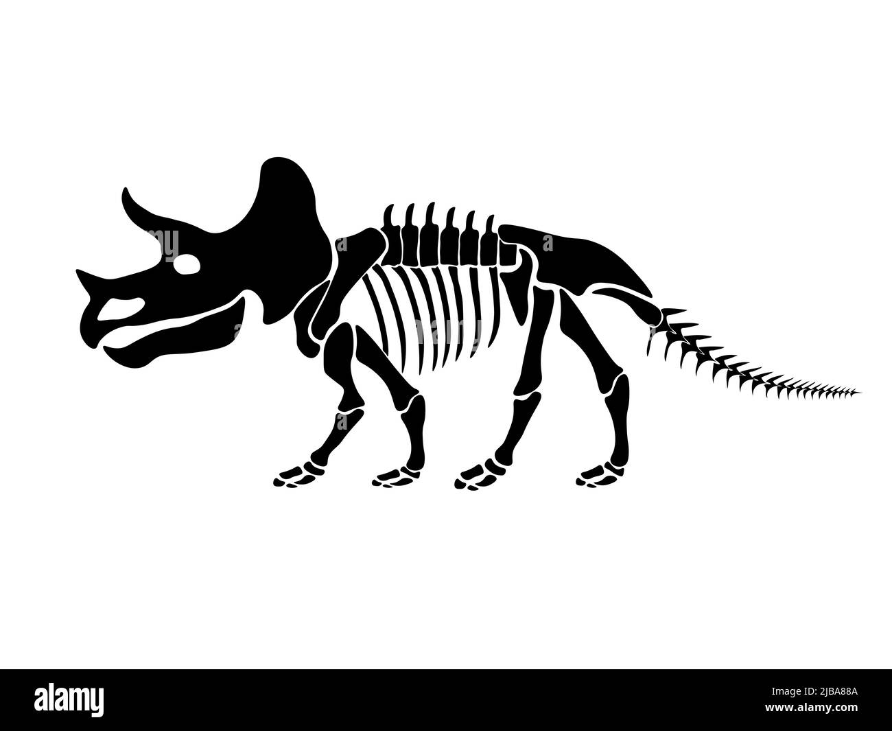 Vektor-Illustration mit Dinosaurier-Skelett isoliert auf weißem Hintergrund. Stock Vektor