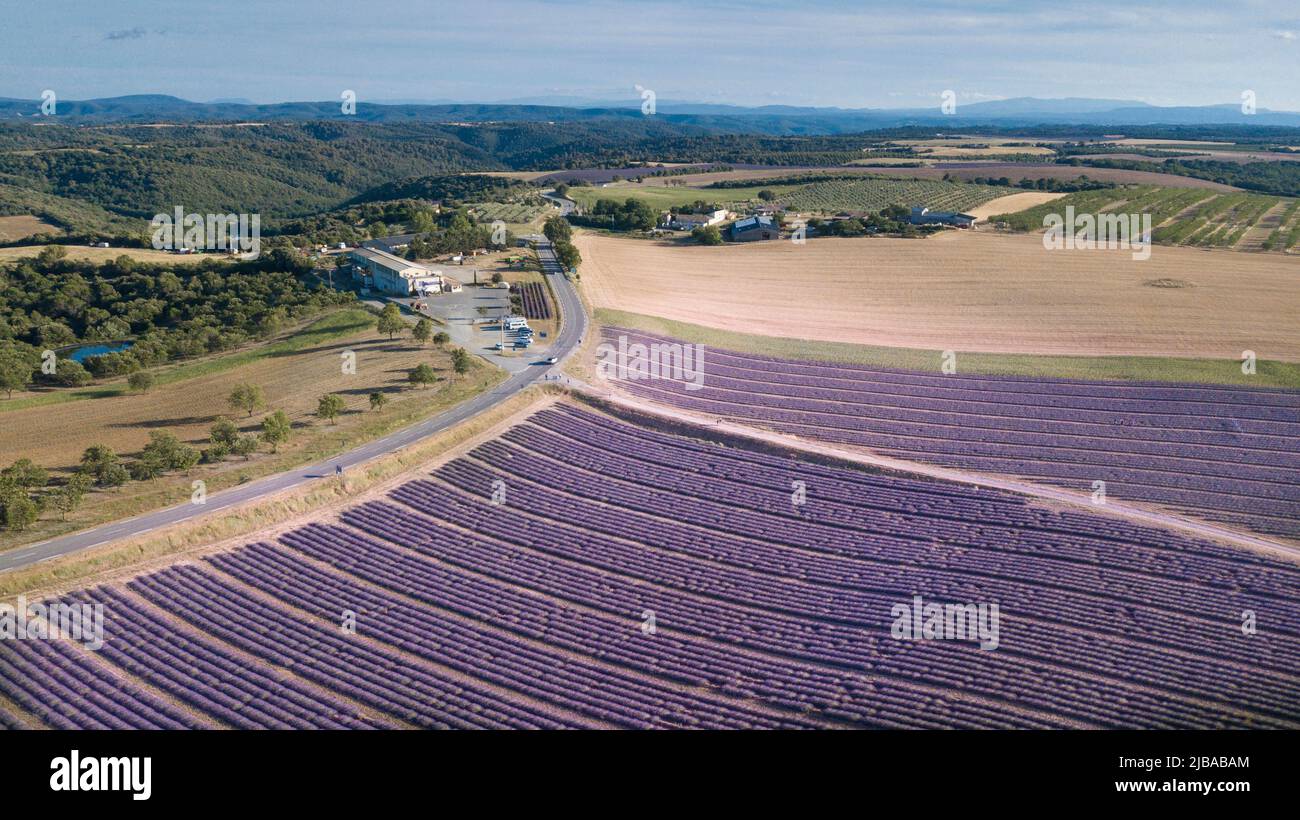 Luftaufnahme der Lavendelfeldlandschaft mit blauem Himmel und violetter Sommerblume. Konzept der Reise und landschaftlich reizvolle Destination. Kopieren Raum schöner Ort i Stockfoto