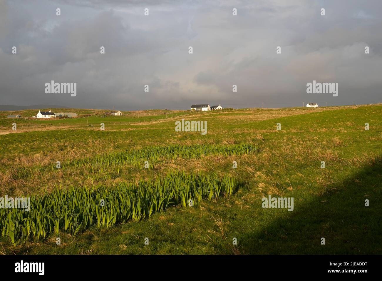 Abgelegene Wohnhäuser in Balranald auf North Uist, die durch die untergehende Sonne und den bunten Himmel auf North Uist, Äußere Hebriden, Schottland, hervorgehoben werden Stockfoto