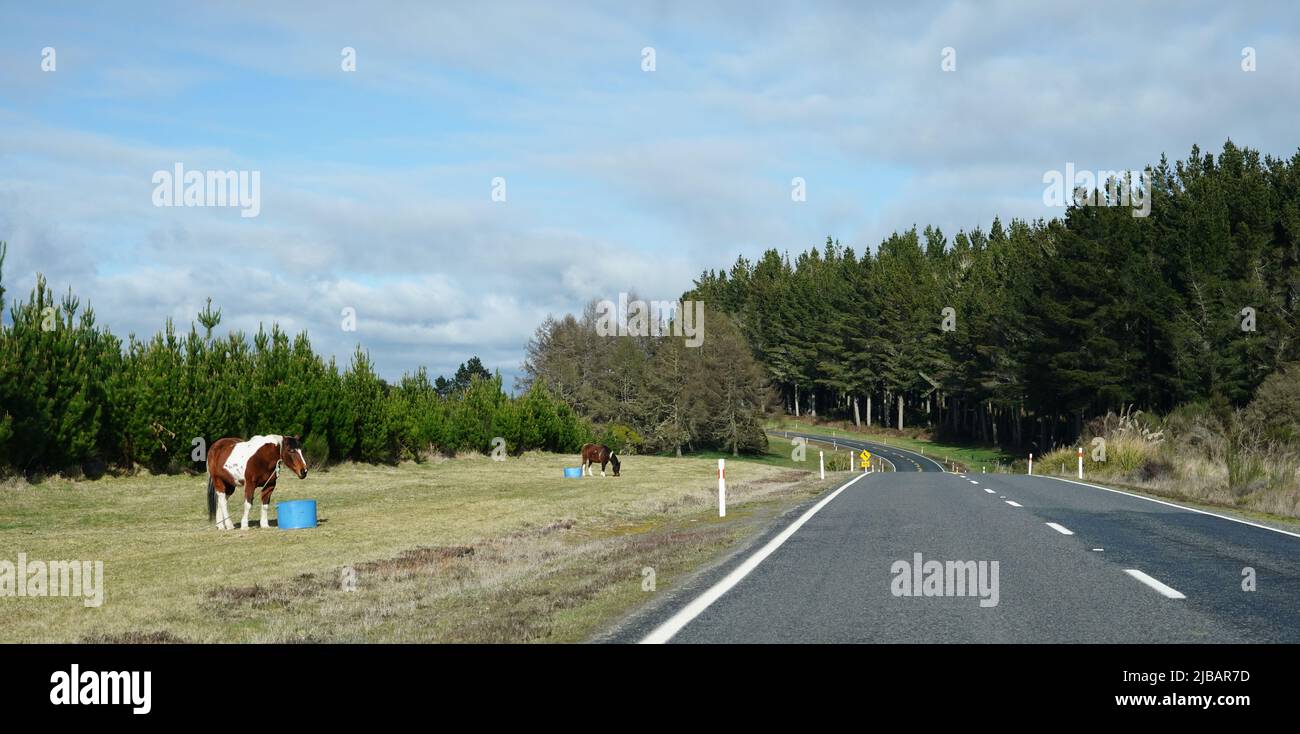 Der Volcanic Loop Highway, eine malerische Nebenstraße durch den Tongariro National Park, Neuseeland Stockfoto